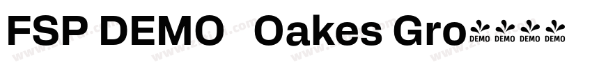 FSP DEMO   Oakes Gro字体转换